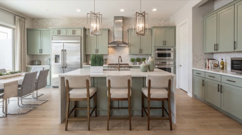 Luxury Transitional